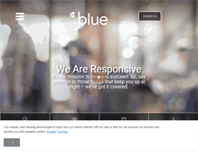 Tablet Screenshot of blueandco.com